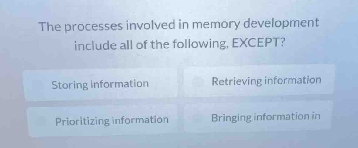 the processes involved in memory development include all of the followi…