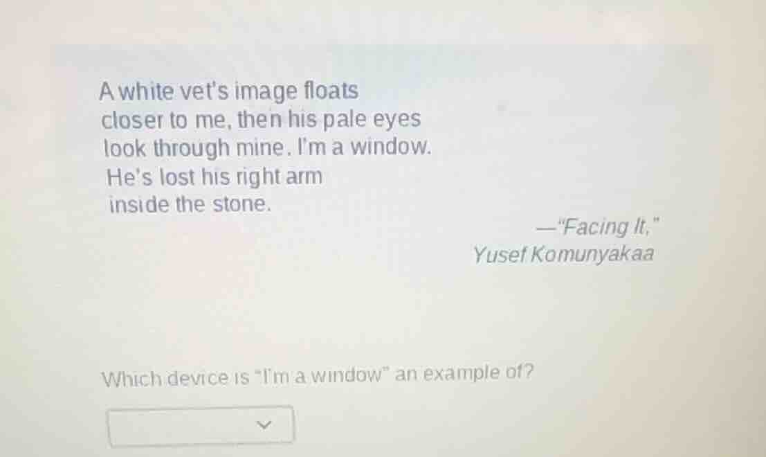 a white vet’s image floats closer to me, then his pale eyes look throug…