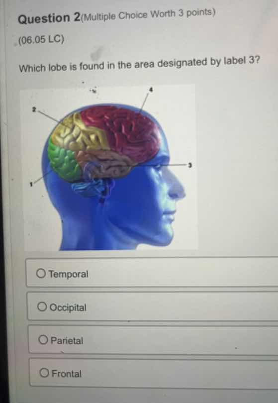 question 2 (multiple choice worth 3 points) (06.05 lc) which lobe is fo…