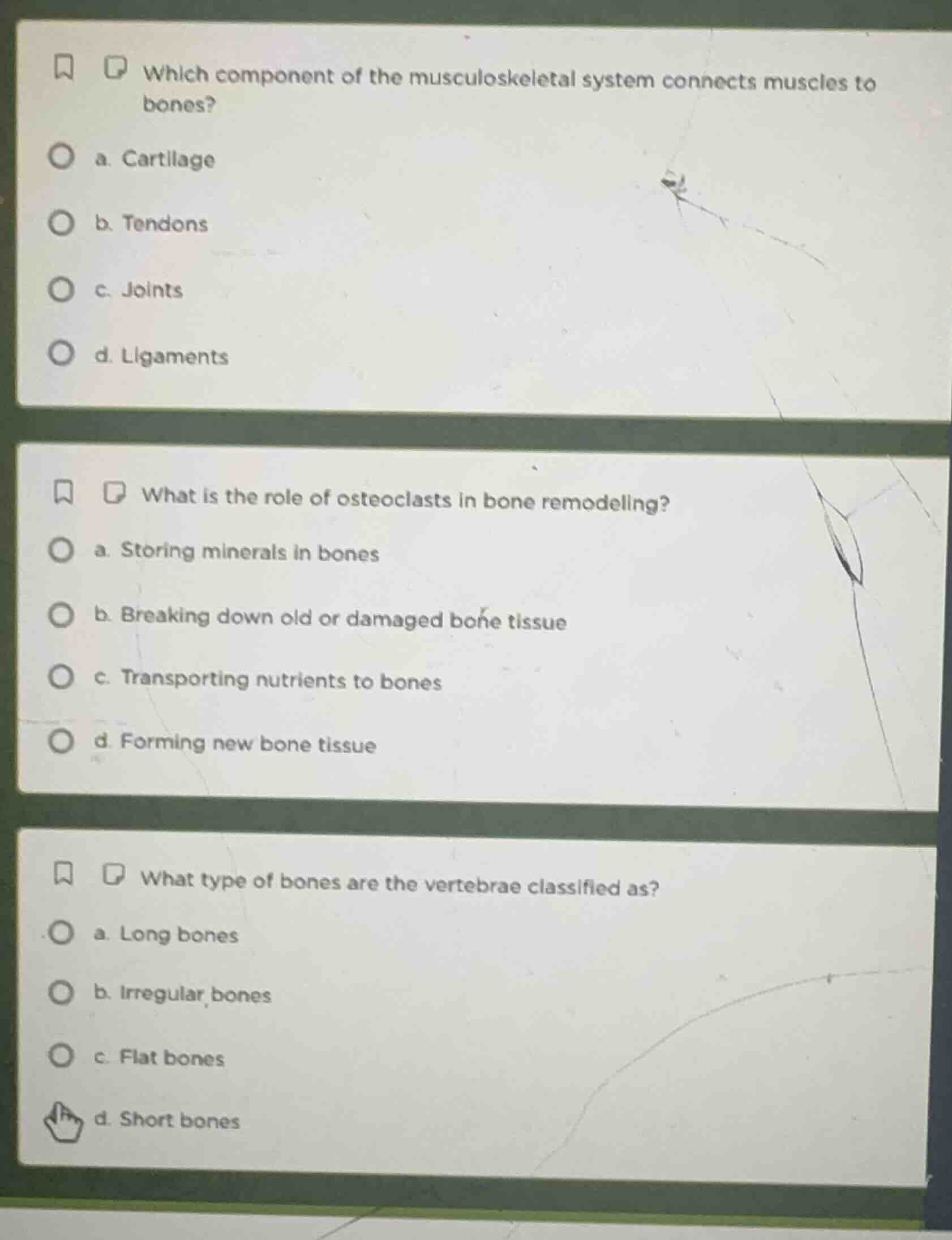 which component of the musculoskeletal system connects muscles to bones…
