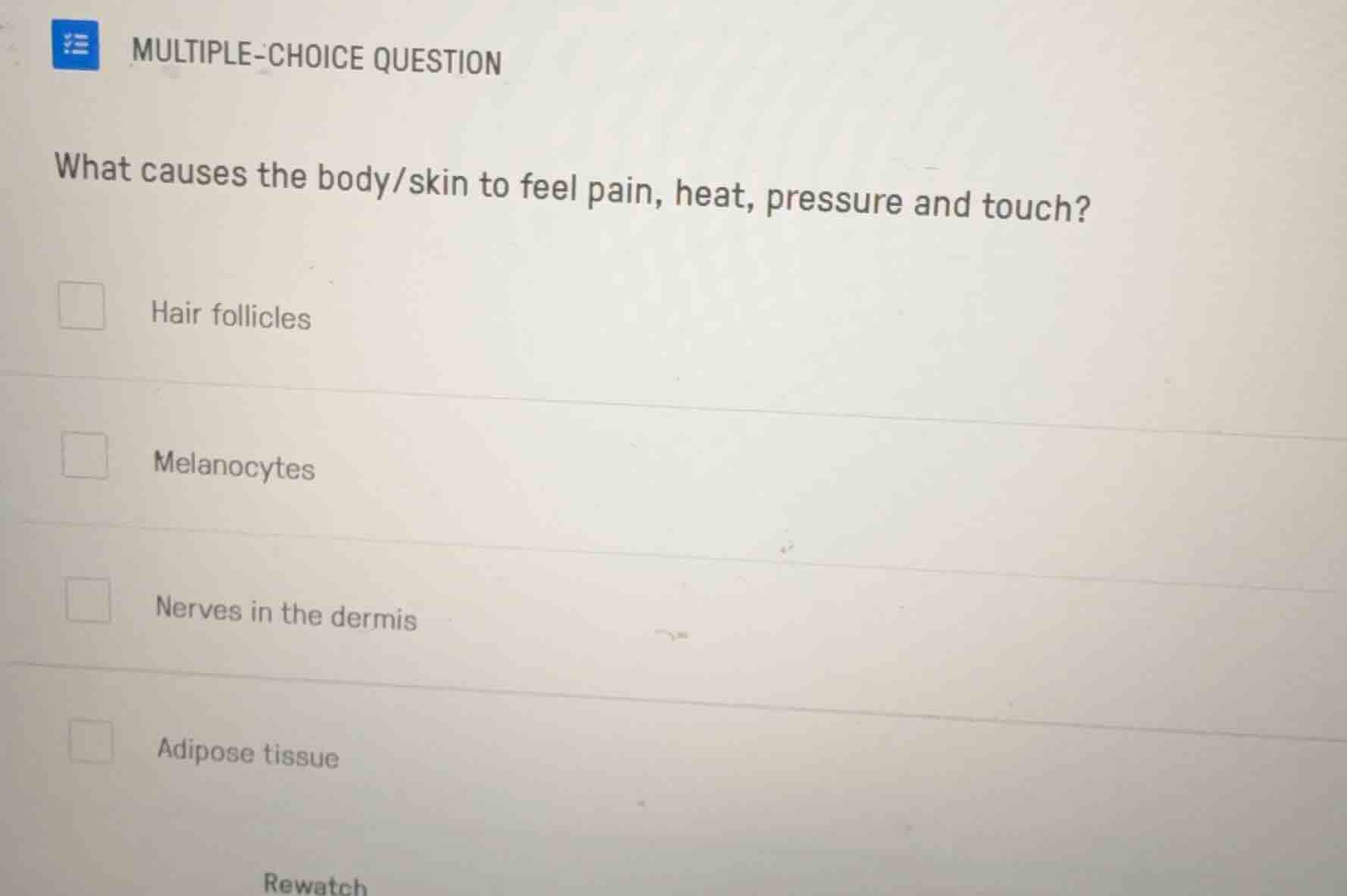 multiple-choice question what causes the body/skin to feel pain, heat, …