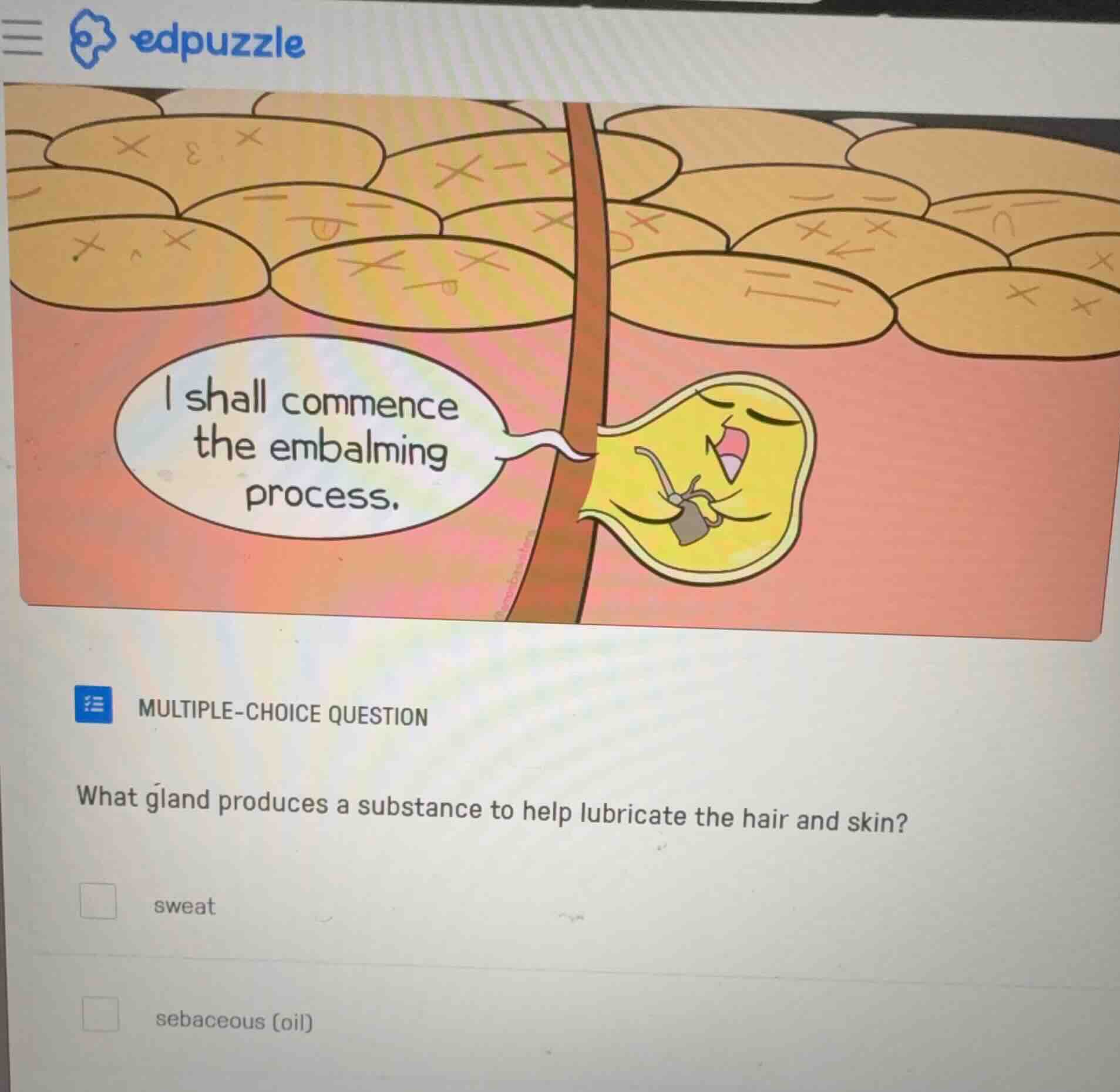 multiple-choice question what gland produces a substance to help lubric…