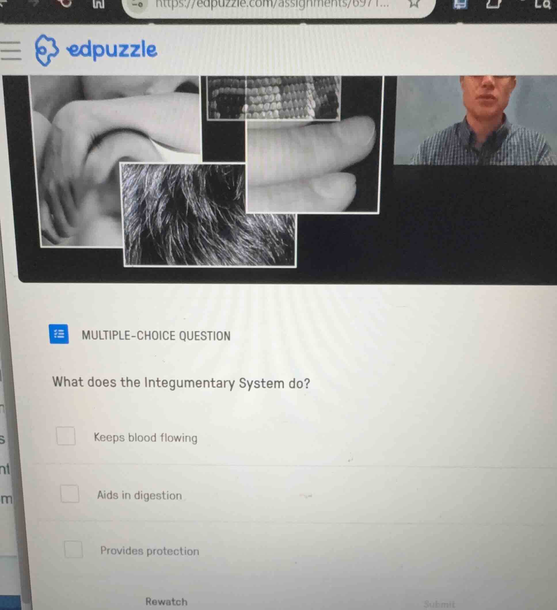 multiple-choice question what does the integumentary system do? keeps b…