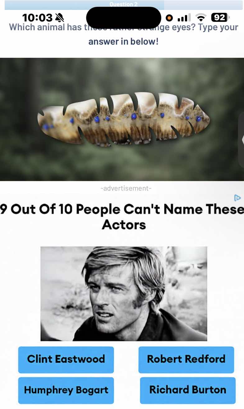 question 2 which animal has these rather strange eyes? type your answer…