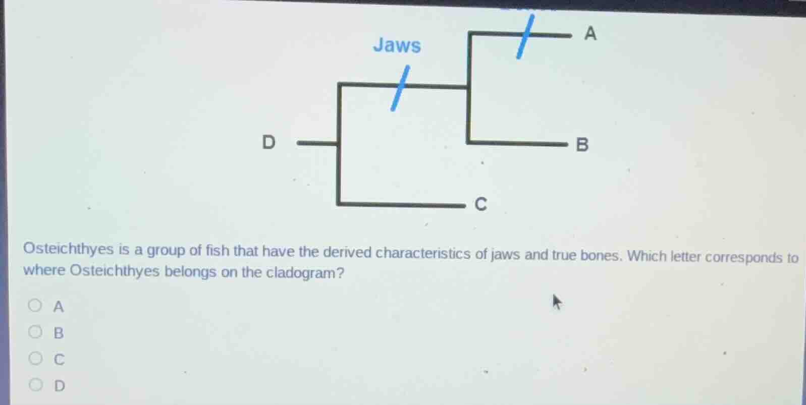 osteichthyes is a group of fish that have the derived characteristics o…