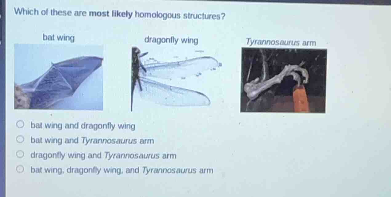 which of these are most likely homologous structures? bat wing dragonfl…