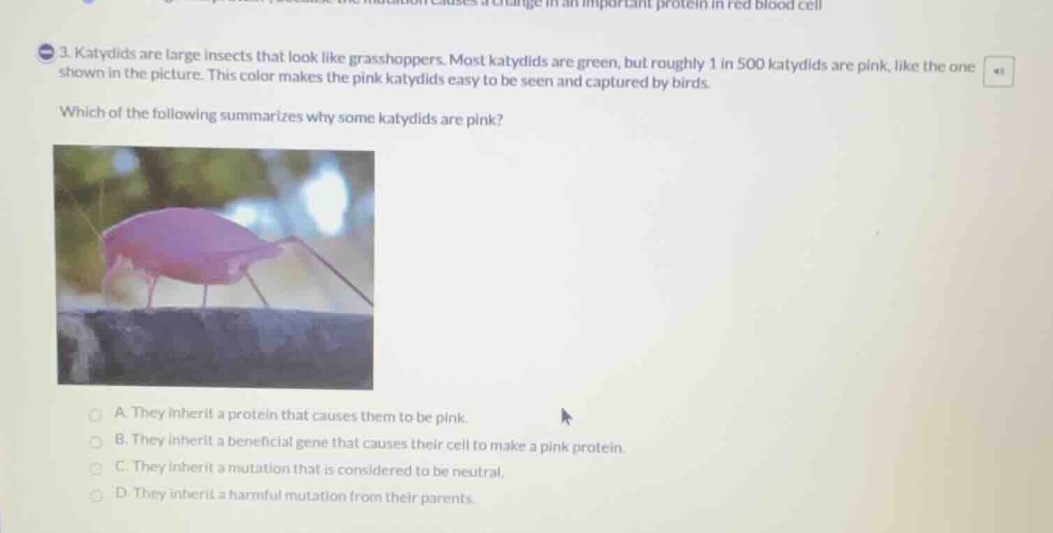 3. katydids are large insects that look like grasshoppers. most katydid…