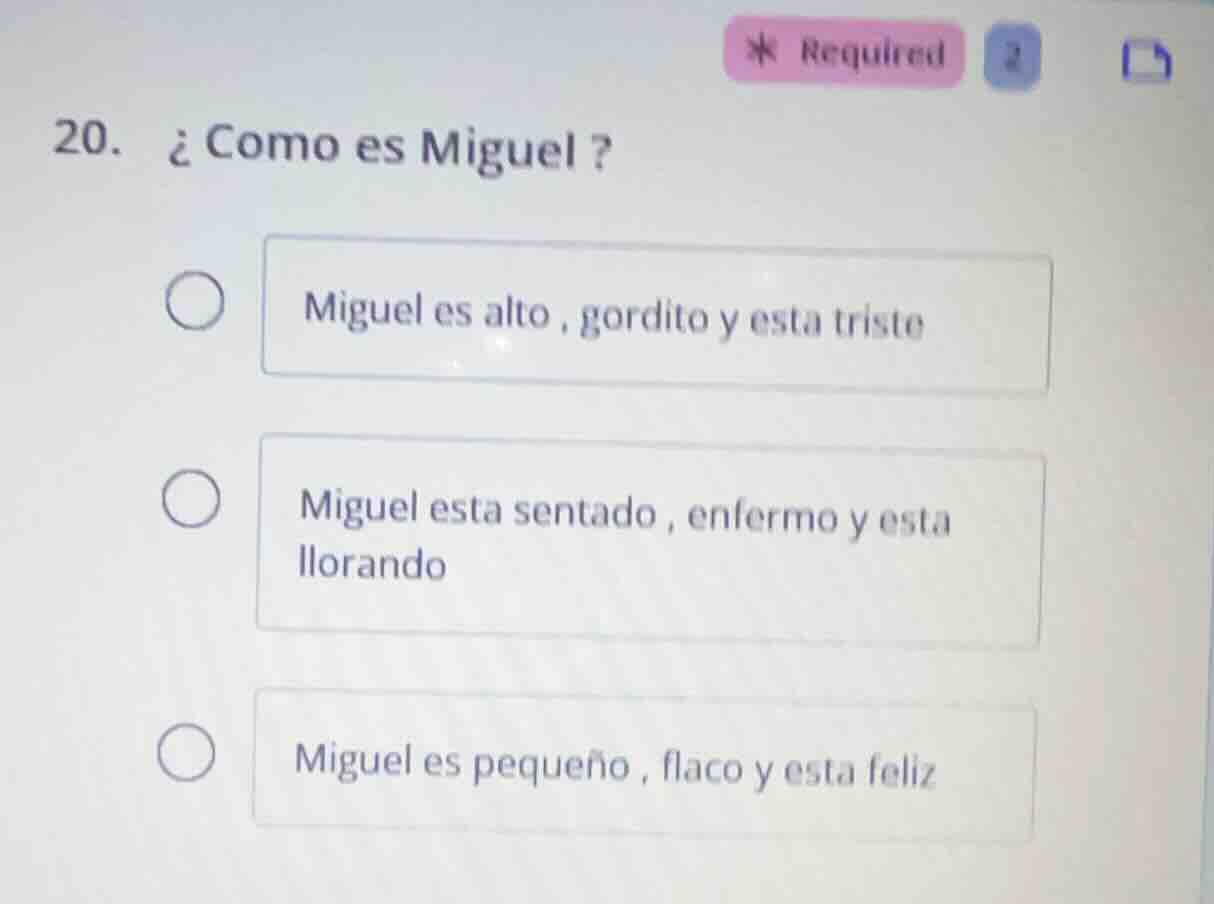 20. ¿como es miguel ? miguel es alto , gordito y esta triste miguel est…