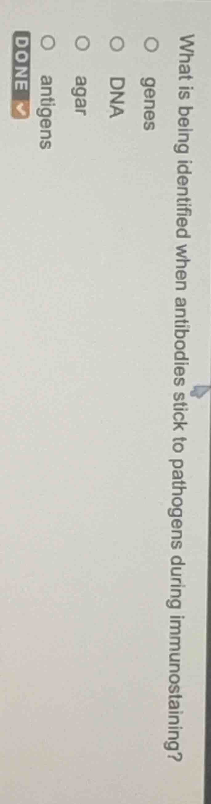 what is being identified when antibodies stick to pathogens during immu…
