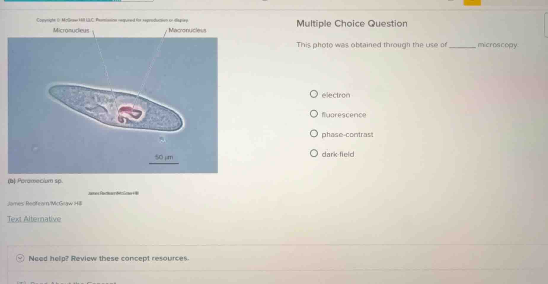 multiple choice question this photo was obtained through the use of ___…