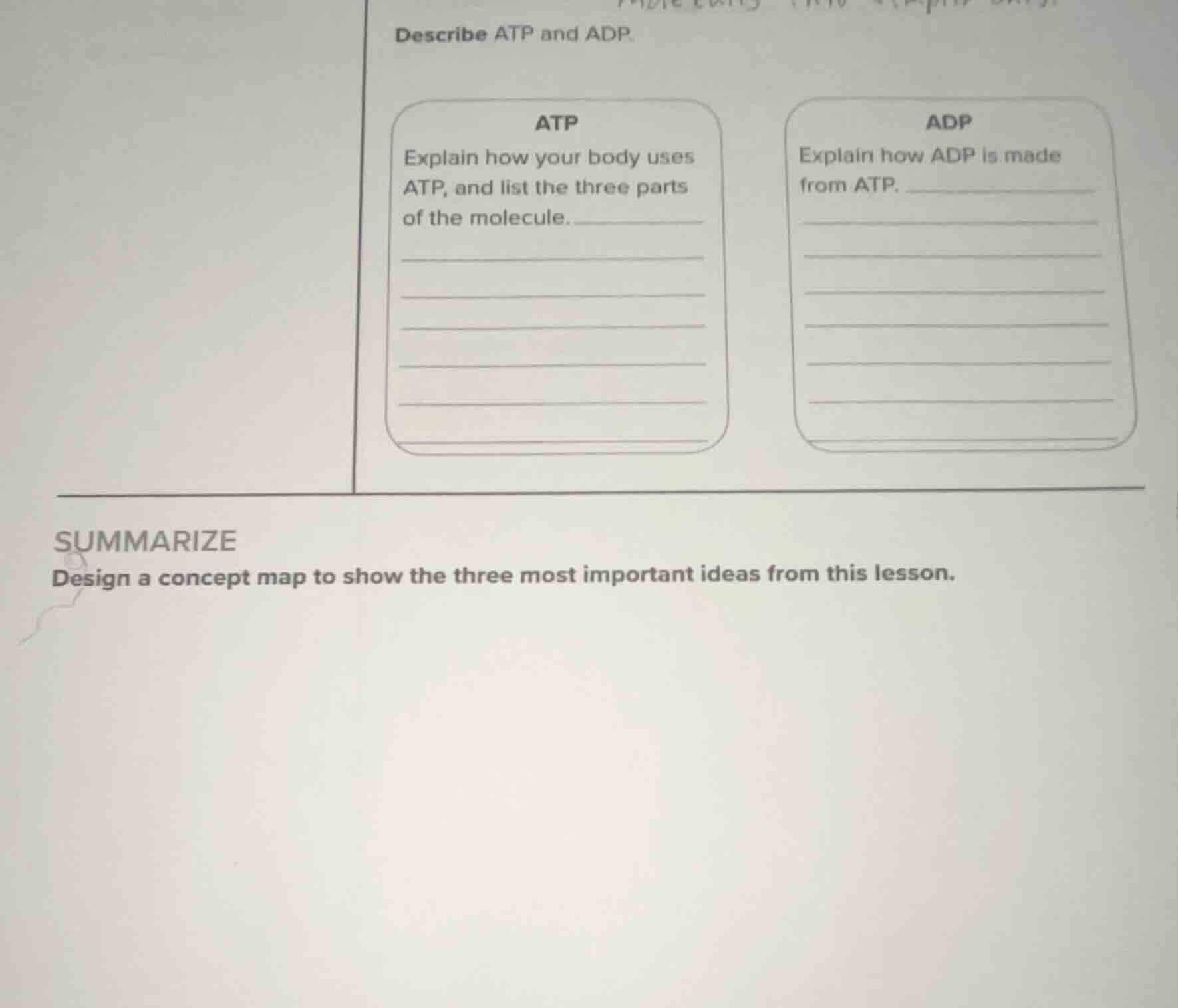describe atp and adp. atp explain how your body uses atp, and list the …