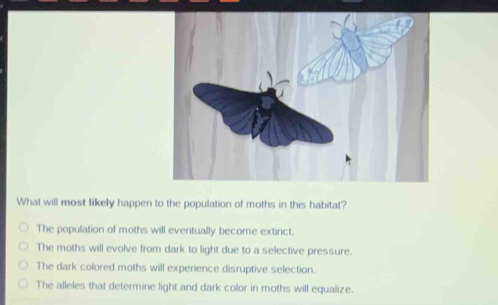 what will most likely happen to the population of moths in this habitat…