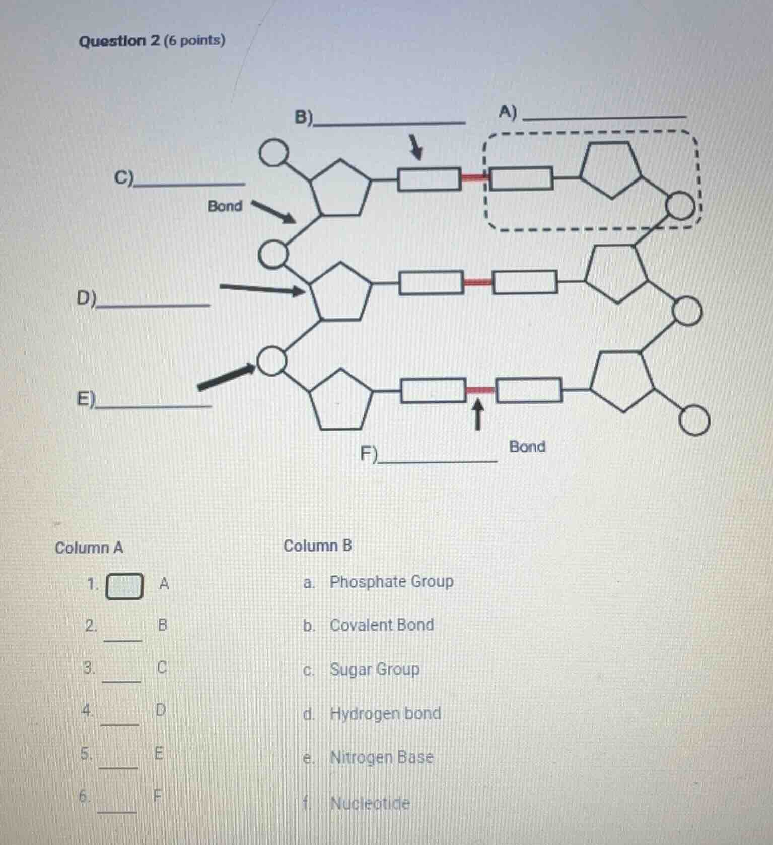 question 2 (6 points) column a \t\t\tcolumn b 1. \ta \t\ta. phosphate g…