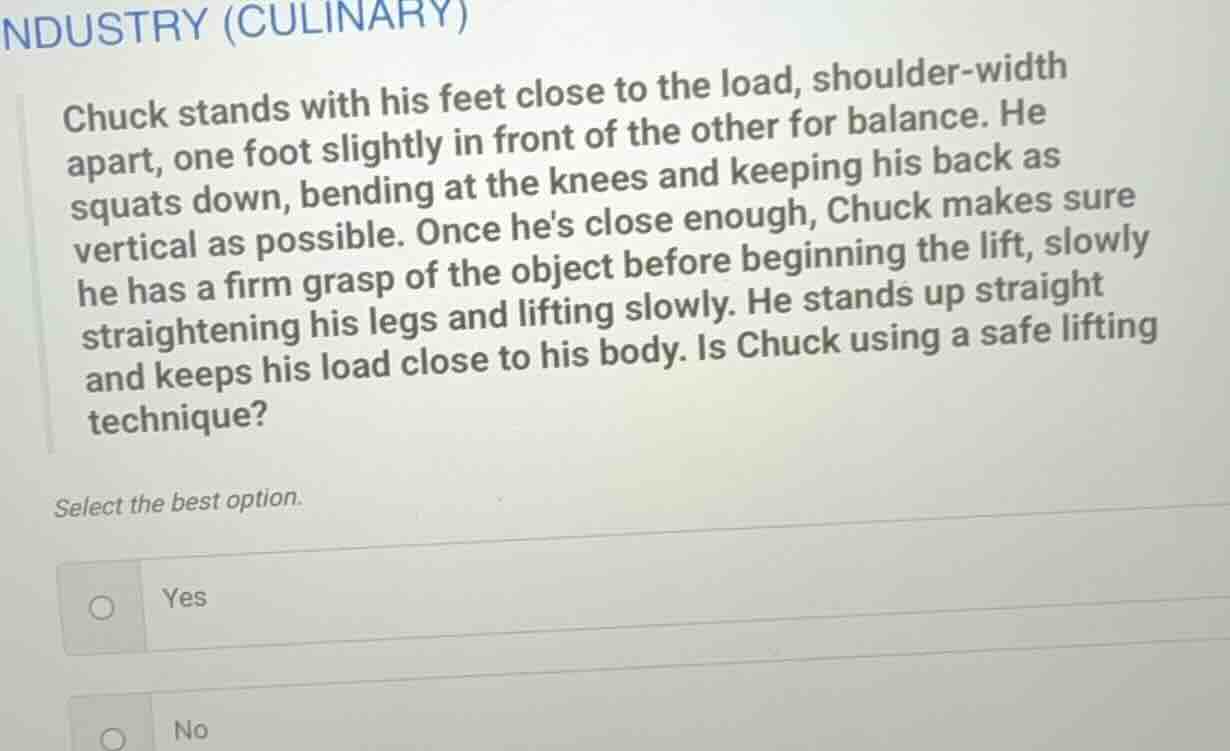 industry (culinary) chuck stands with his feet close to the load, shoul…