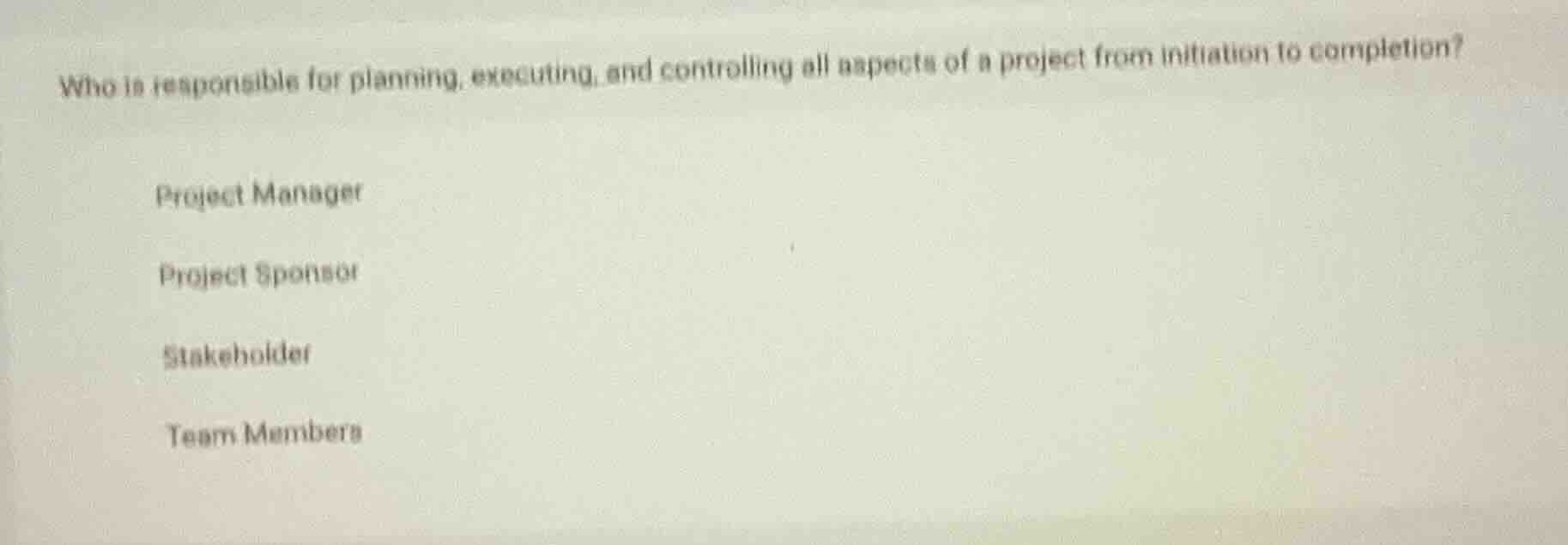 who is responsible for planning, executing, and controlling all aspects…