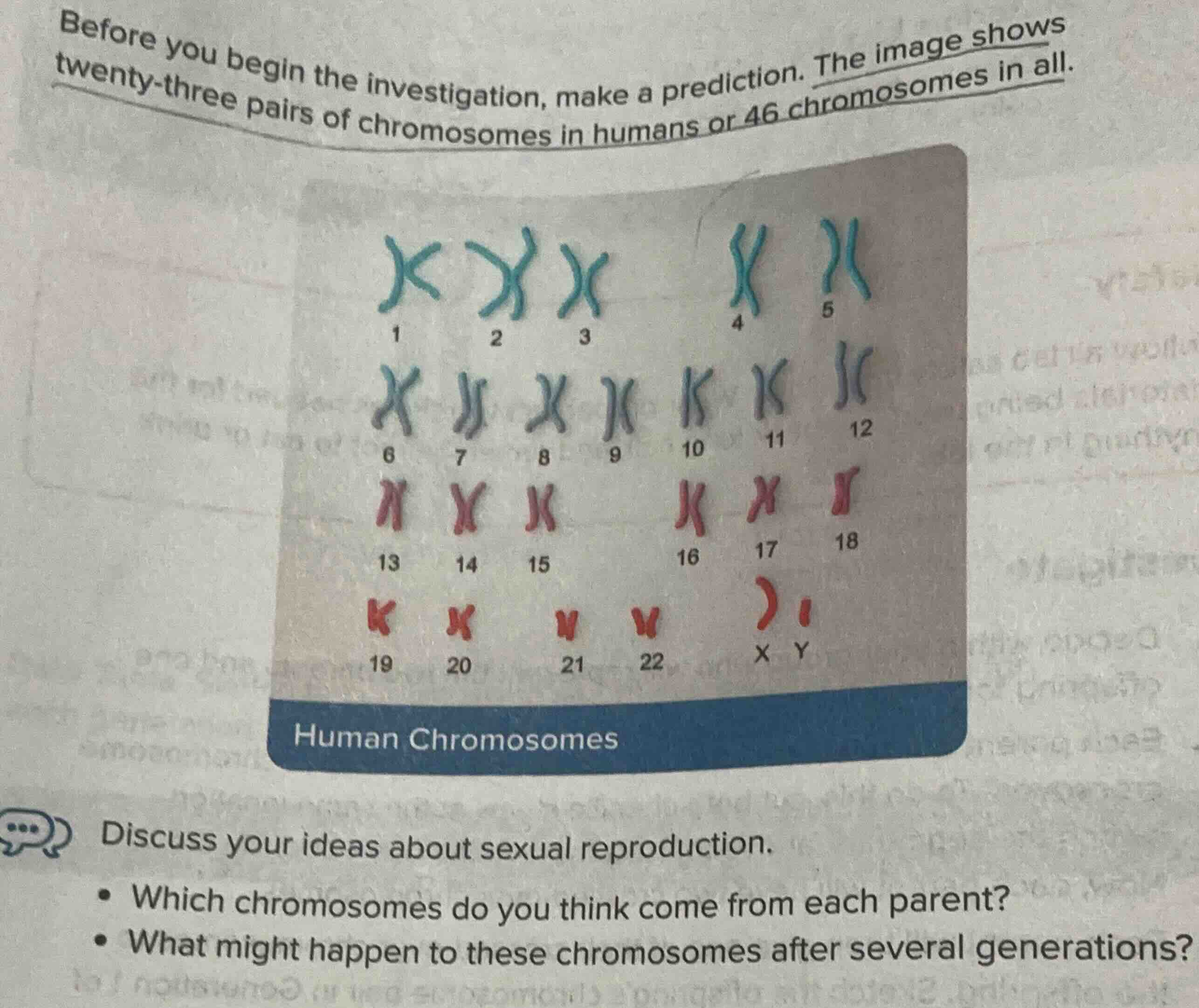 before you begin the investigation, make a prediction. the image shows …