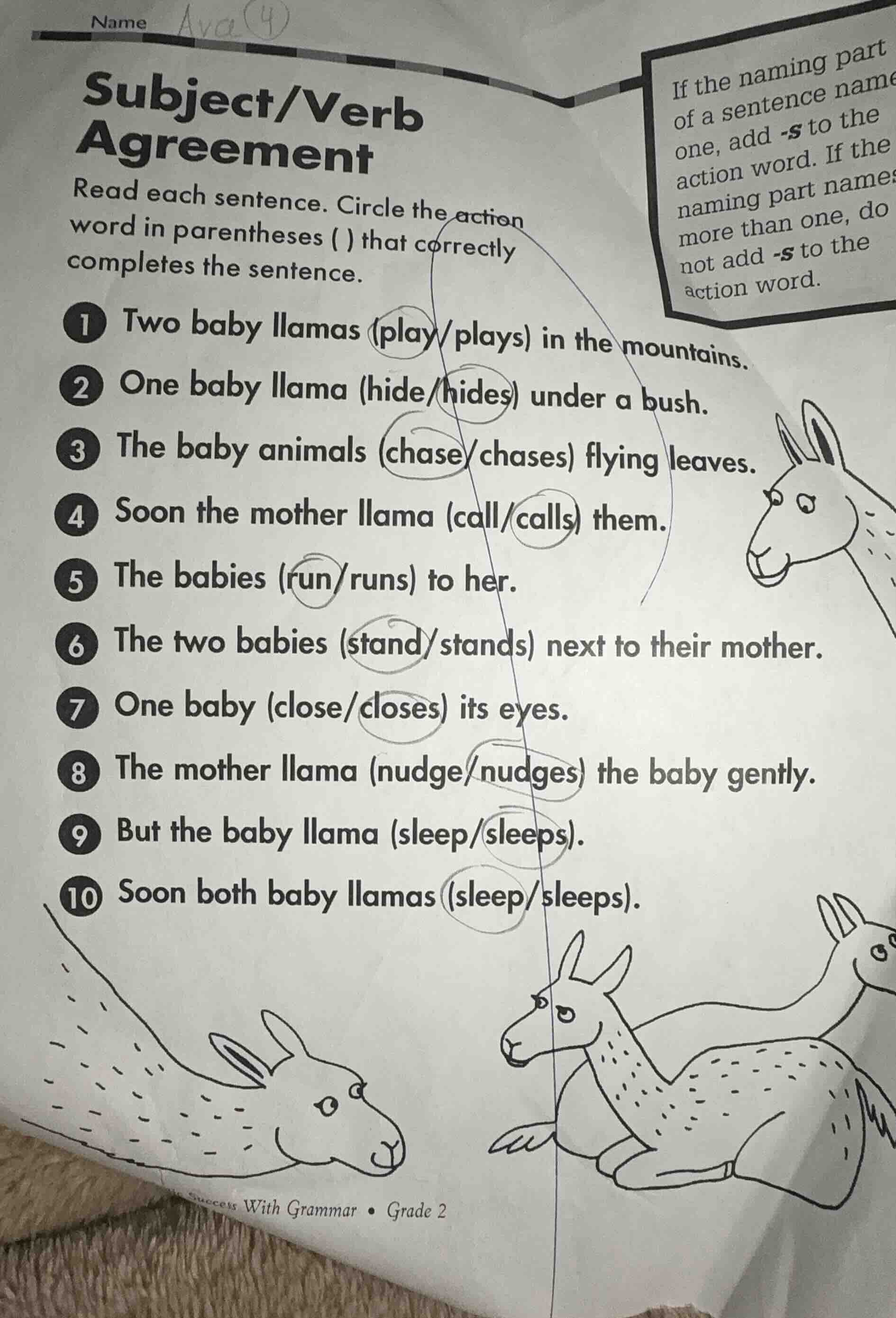 subject/verb agreement read each sentence. circle the action word in pa…