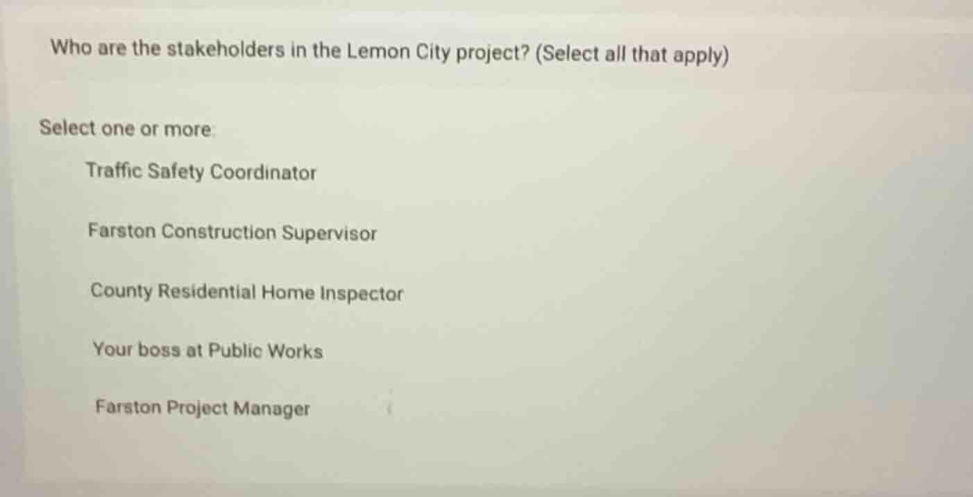 who are the stakeholders in the lemon city project? (select all that ap…