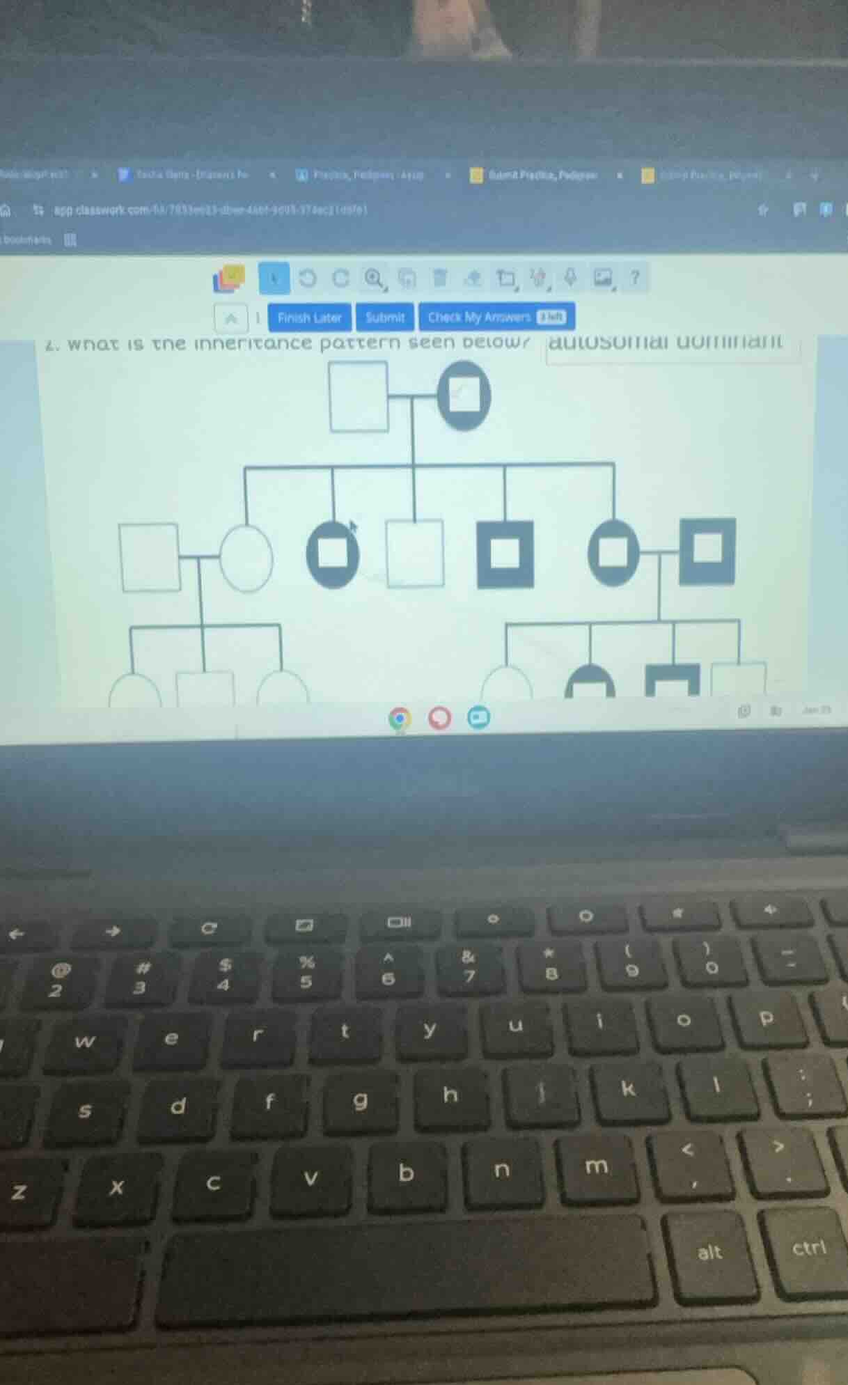 2. what is the inheritance pattern seen below? autosomal dominant