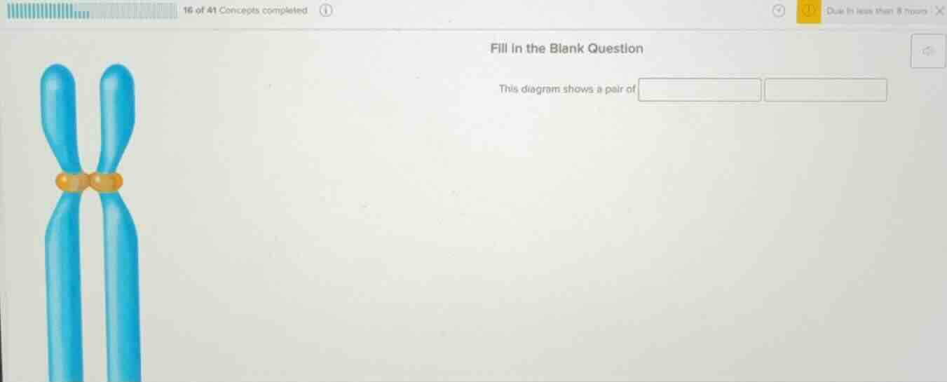 fill in the blank question this diagram shows a pair of