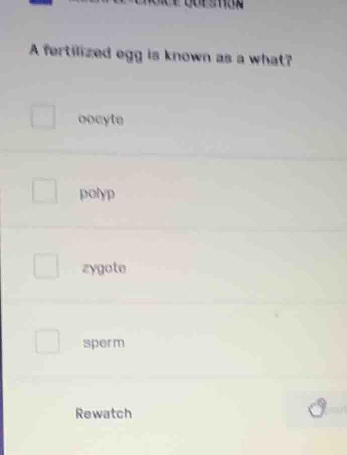 a fertilized egg is known as a what? oocyte polyp zygote sperm rewatch
