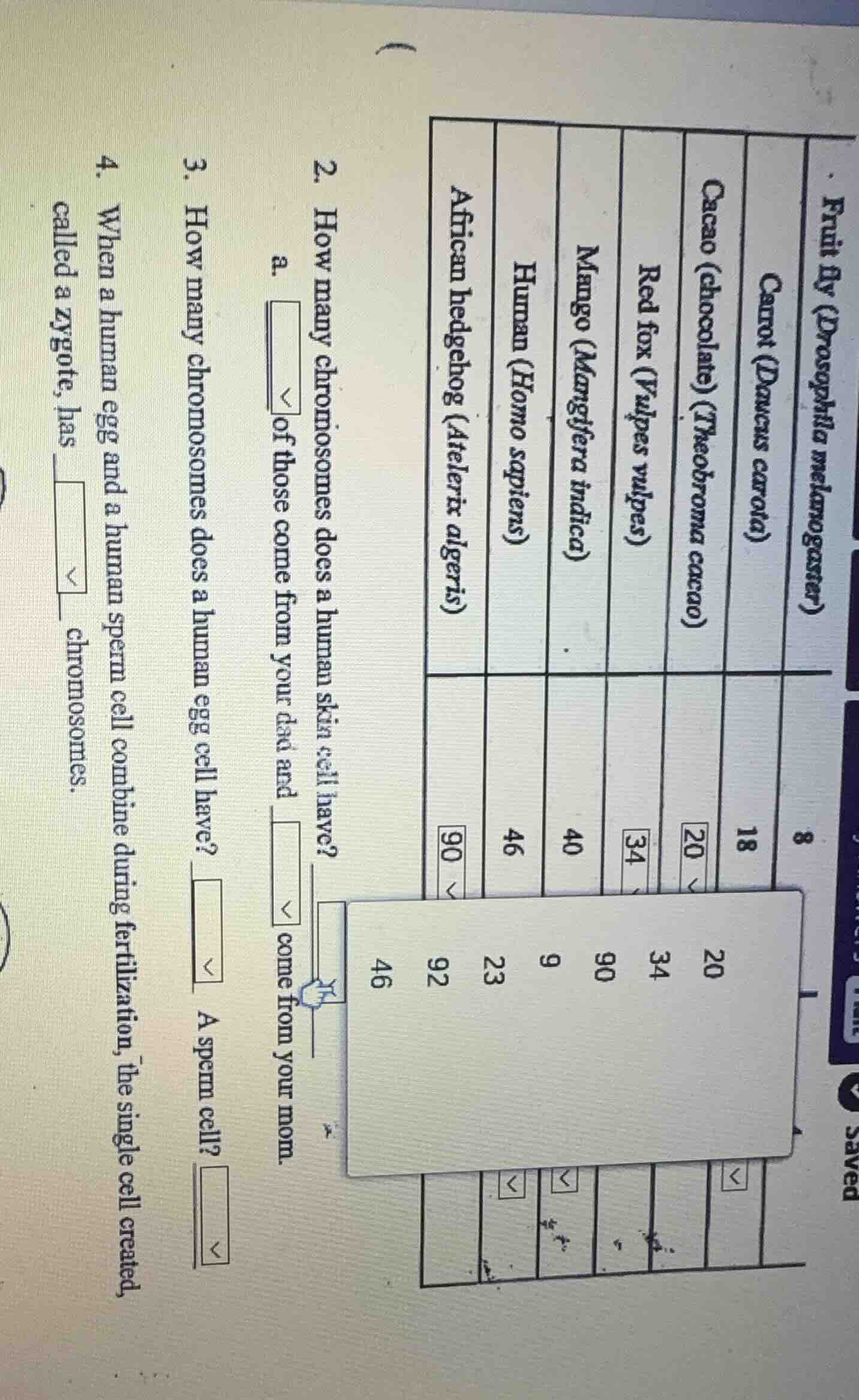 fruit fly (drosophila melanogaster) \\ carrot (daucus carota) \\ cacao …
