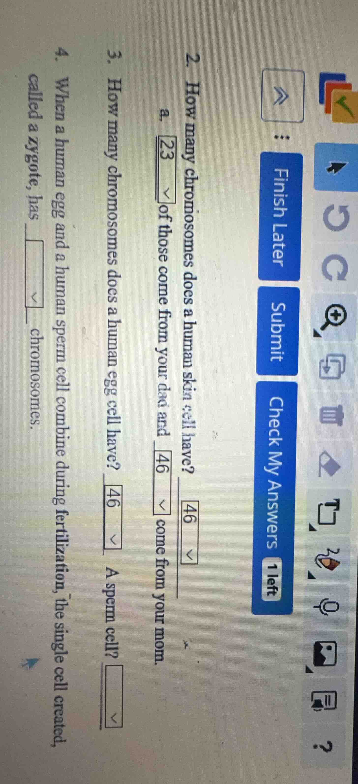 2. how many chromosomes does a human skin cell have? 46 a. 23 of those …