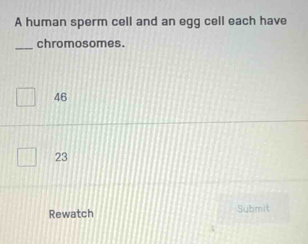 a human sperm cell and an egg cell each have __ chromosomes. 46 23 rewa…