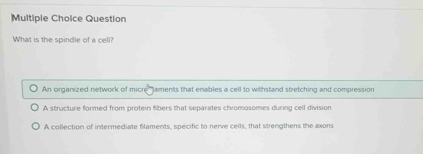 multiple choice question what is the spindle of a cell? an organized ne…