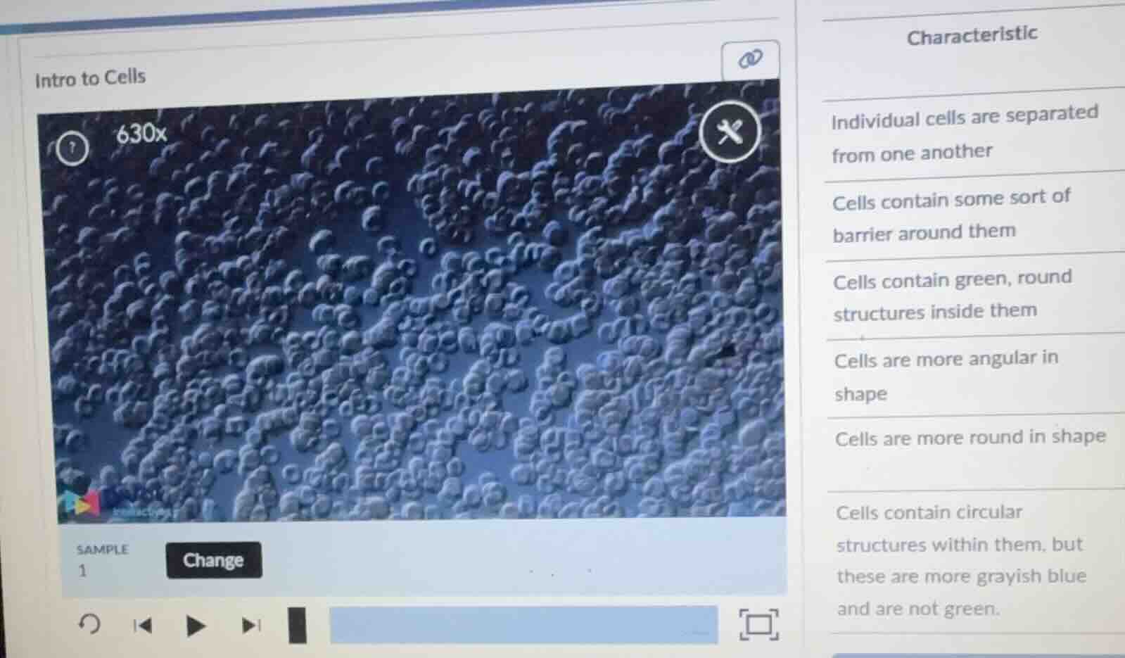 intro to cells sample 1 change characteristic individual cells are sepa…