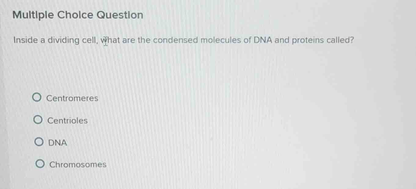 multiple choice question inside a dividing cell, what are the condensed…