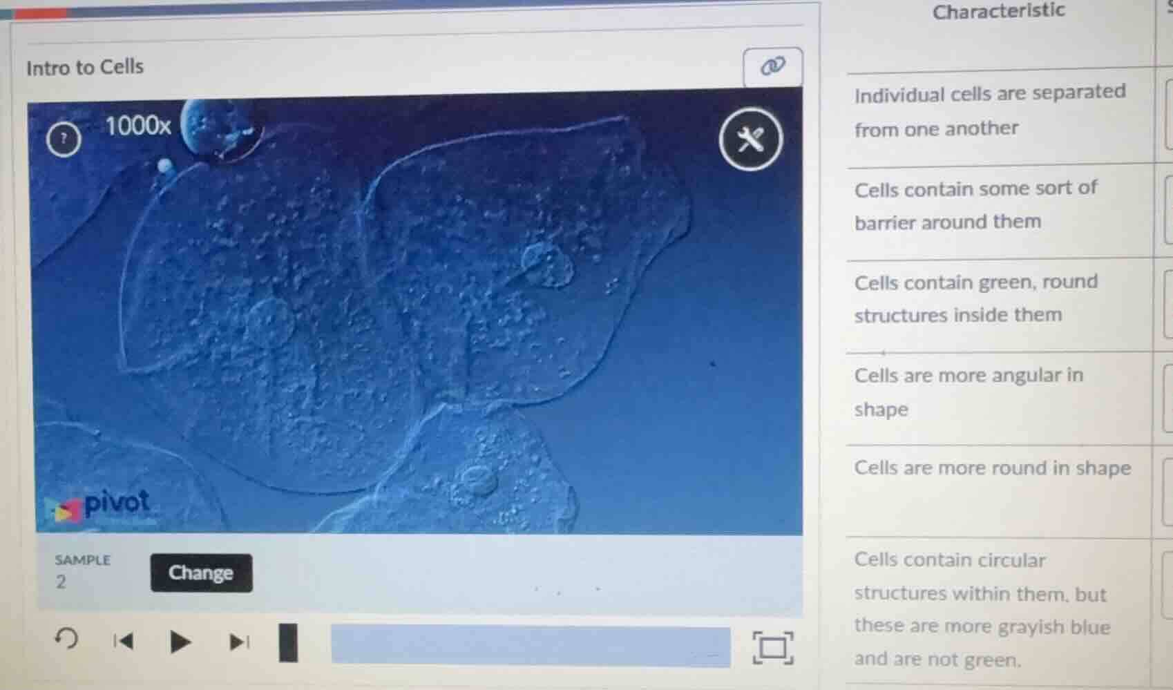 intro to cells sample 2 change characteristic individual cells are sepa…