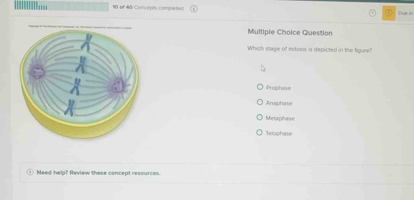 multiple choice question which stage of mitosis is depicted in the figu…
