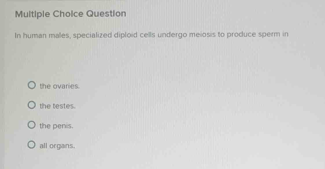 multiple choice question in human males, specialized diploid cells unde…