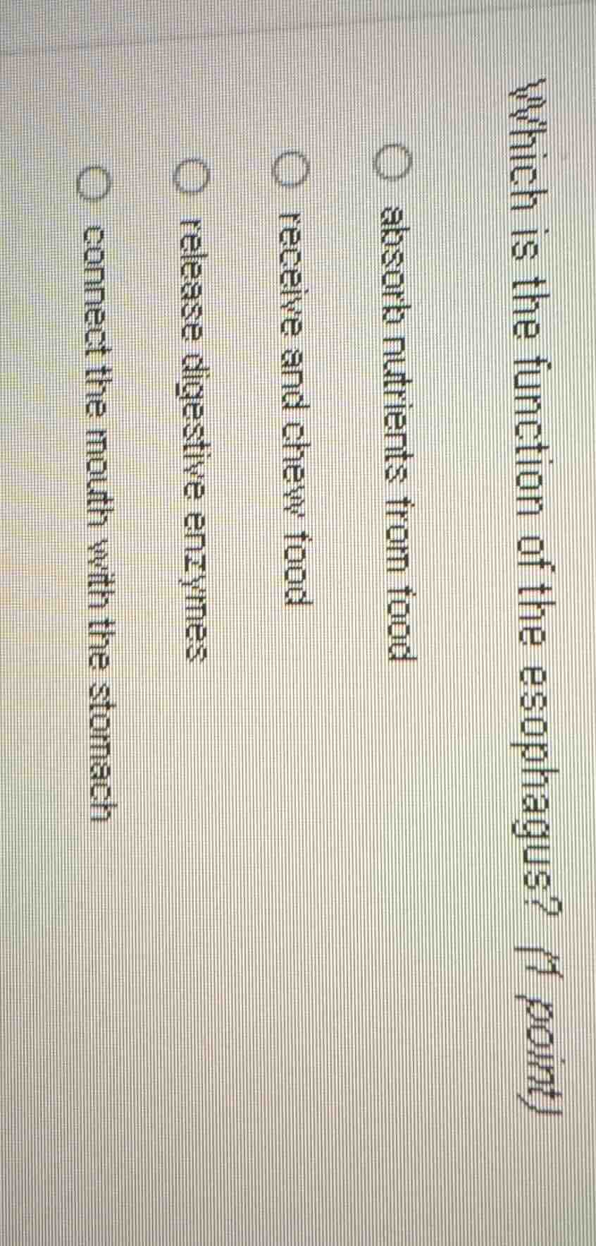 which is the function of the esophagus? (1 point) absorb nutrients from…