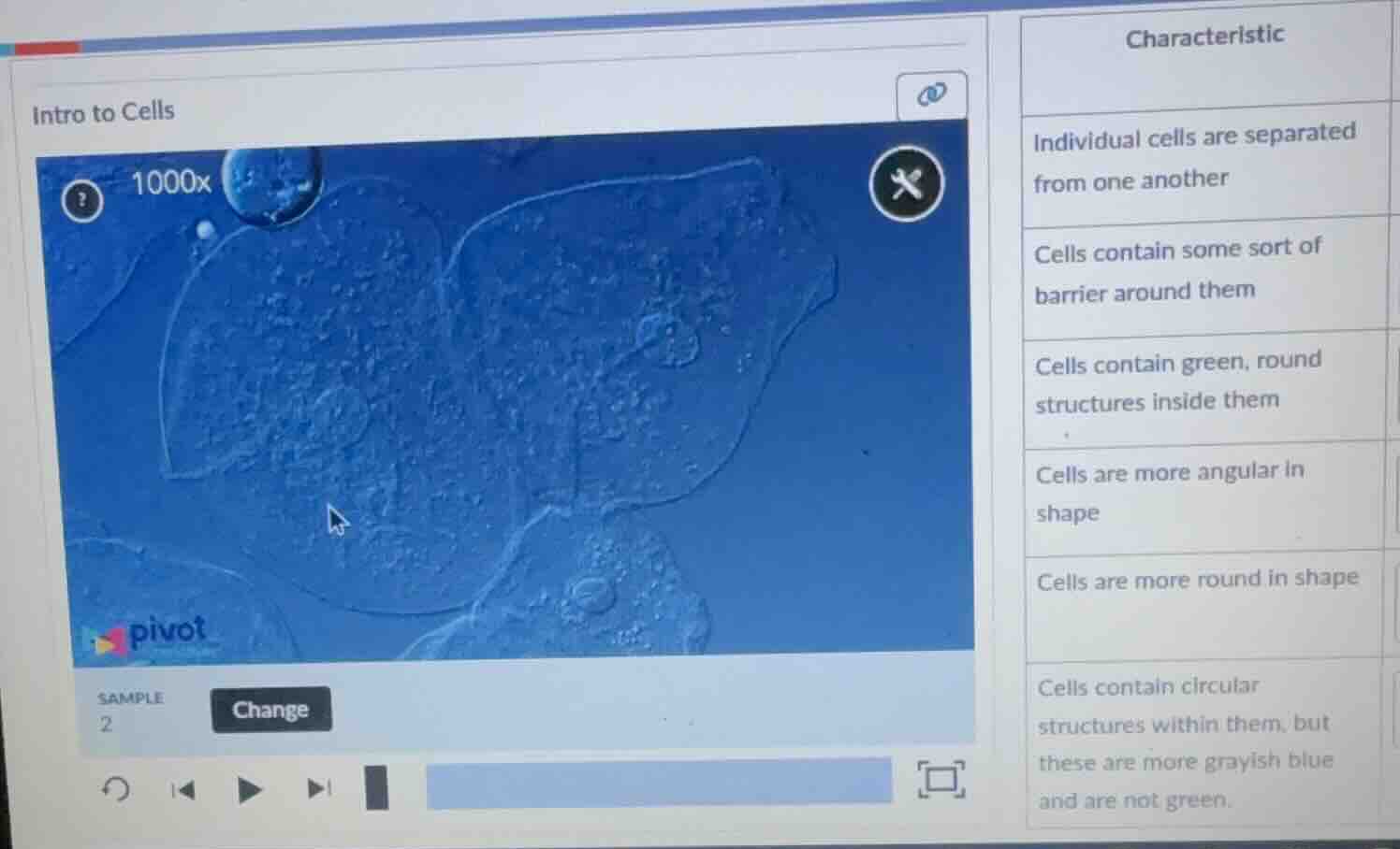 intro to cells sample 2 change characteristic individual cells are sepa…
