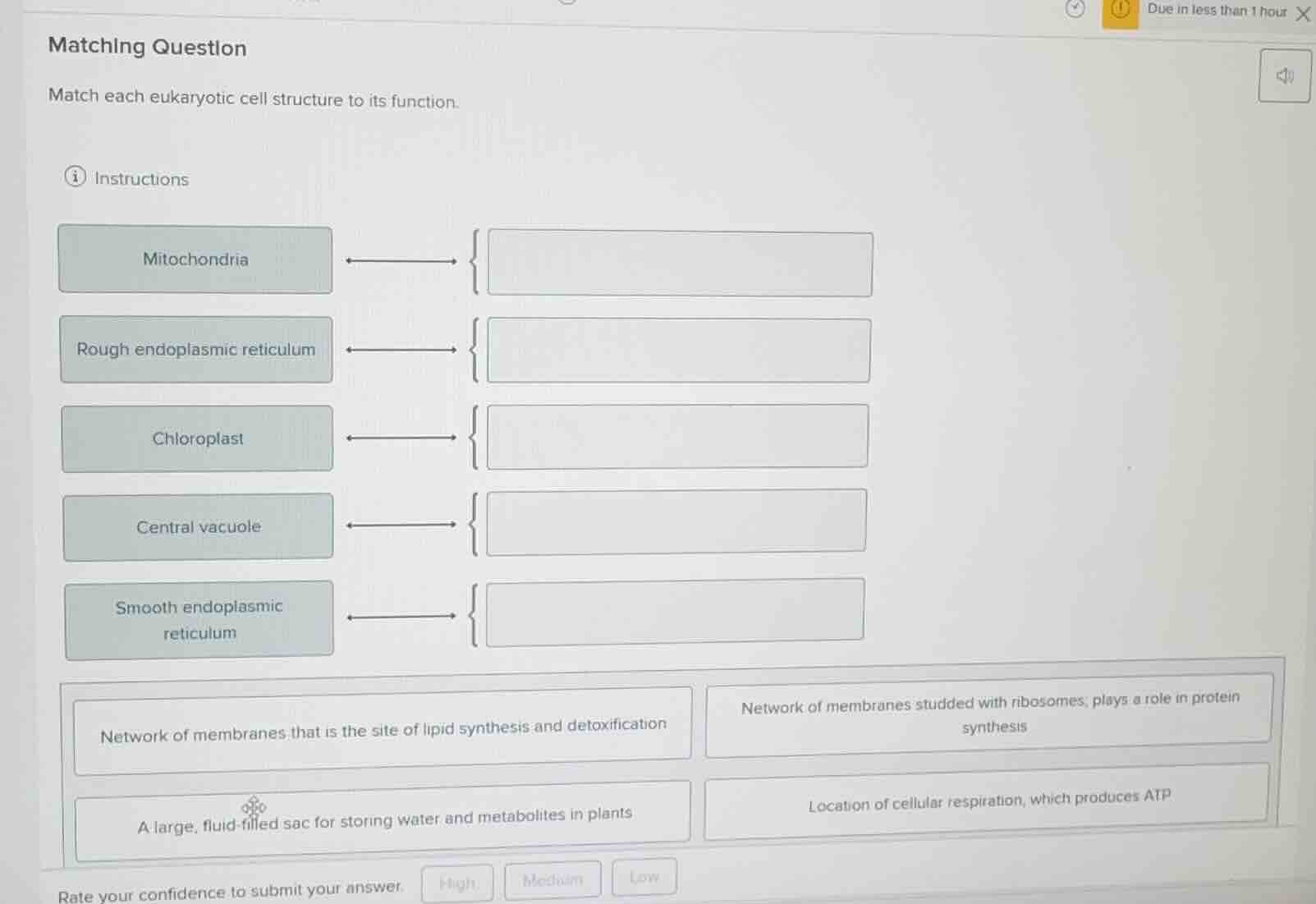 matching question match each eukaryotic cell structure to its function.…