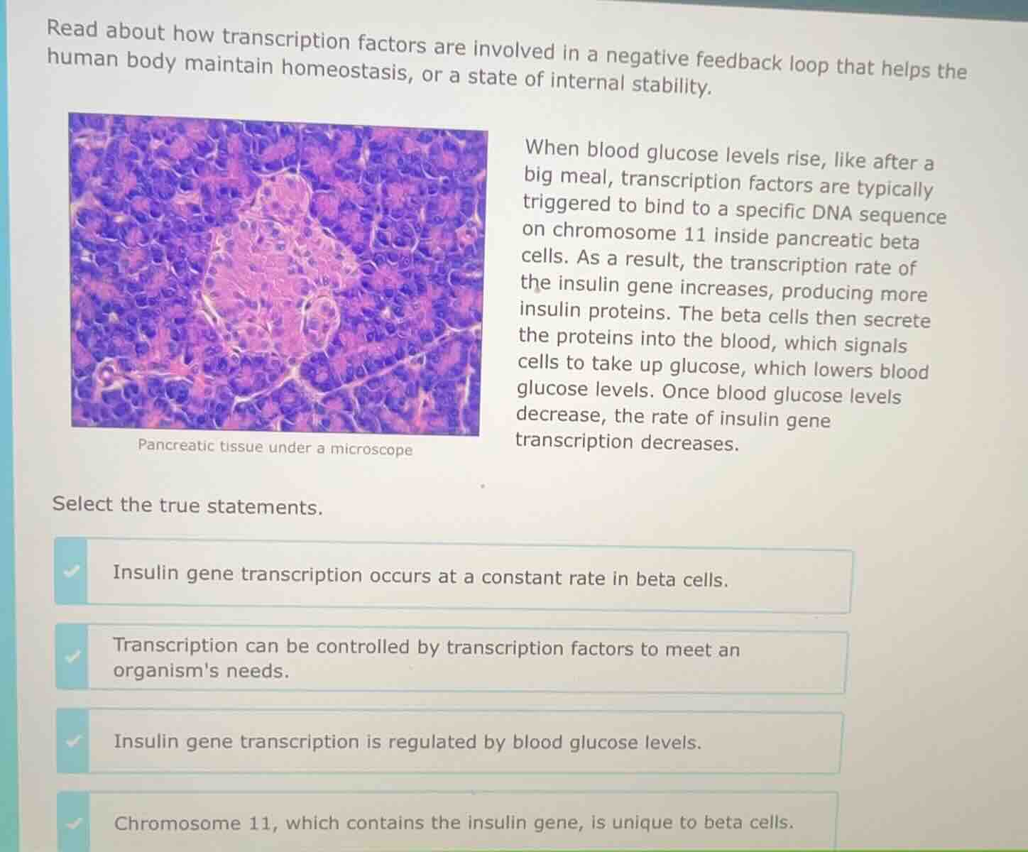 read about how transcription factors are involved in a negative feedbac…