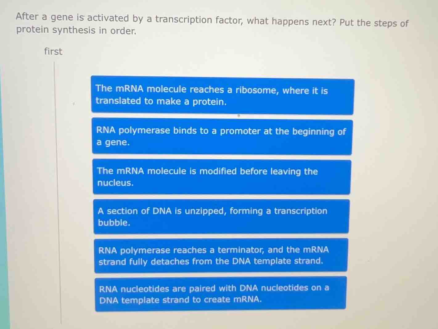 after a gene is activated by a transcription factor, what happens next?…