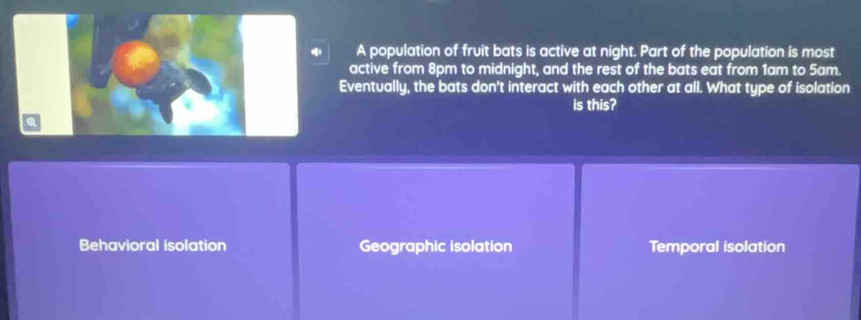 a population of fruit bats is active at night. part of the population i…