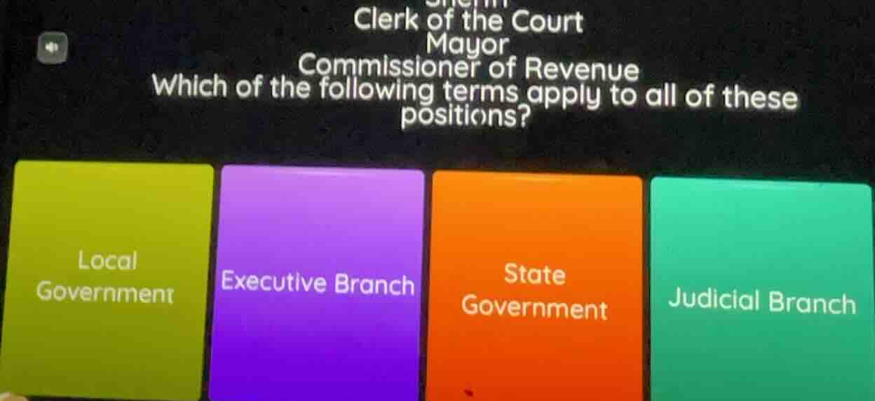 clerk of the court mayor commissioner of revenue which of the following…