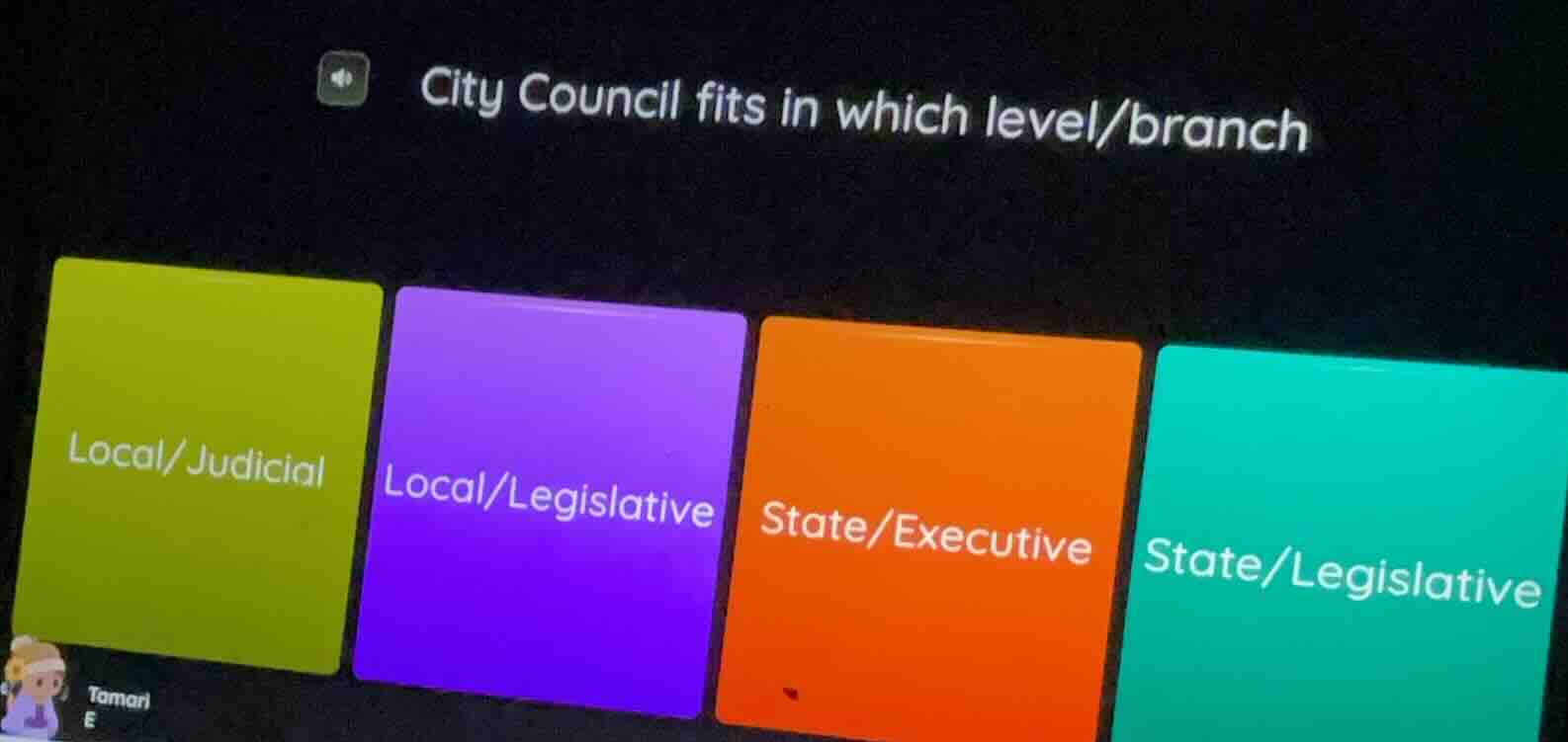city council fits in which level/branch local/judicial local/legislativ…