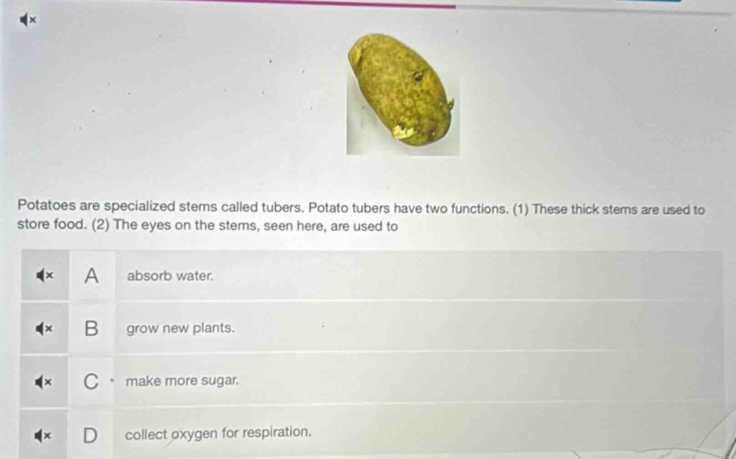 potatoes are specialized stems called tubers. potato tubers have two fu…