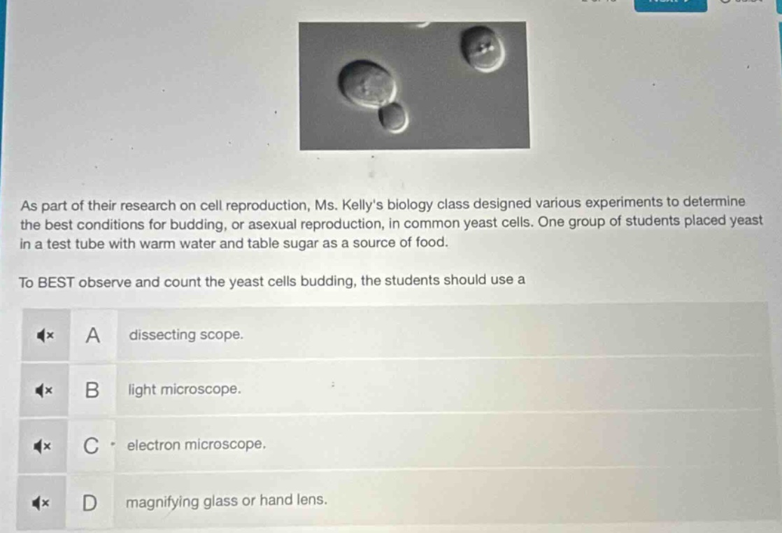 as part of their research on cell reproduction, ms. kellys biology clas…