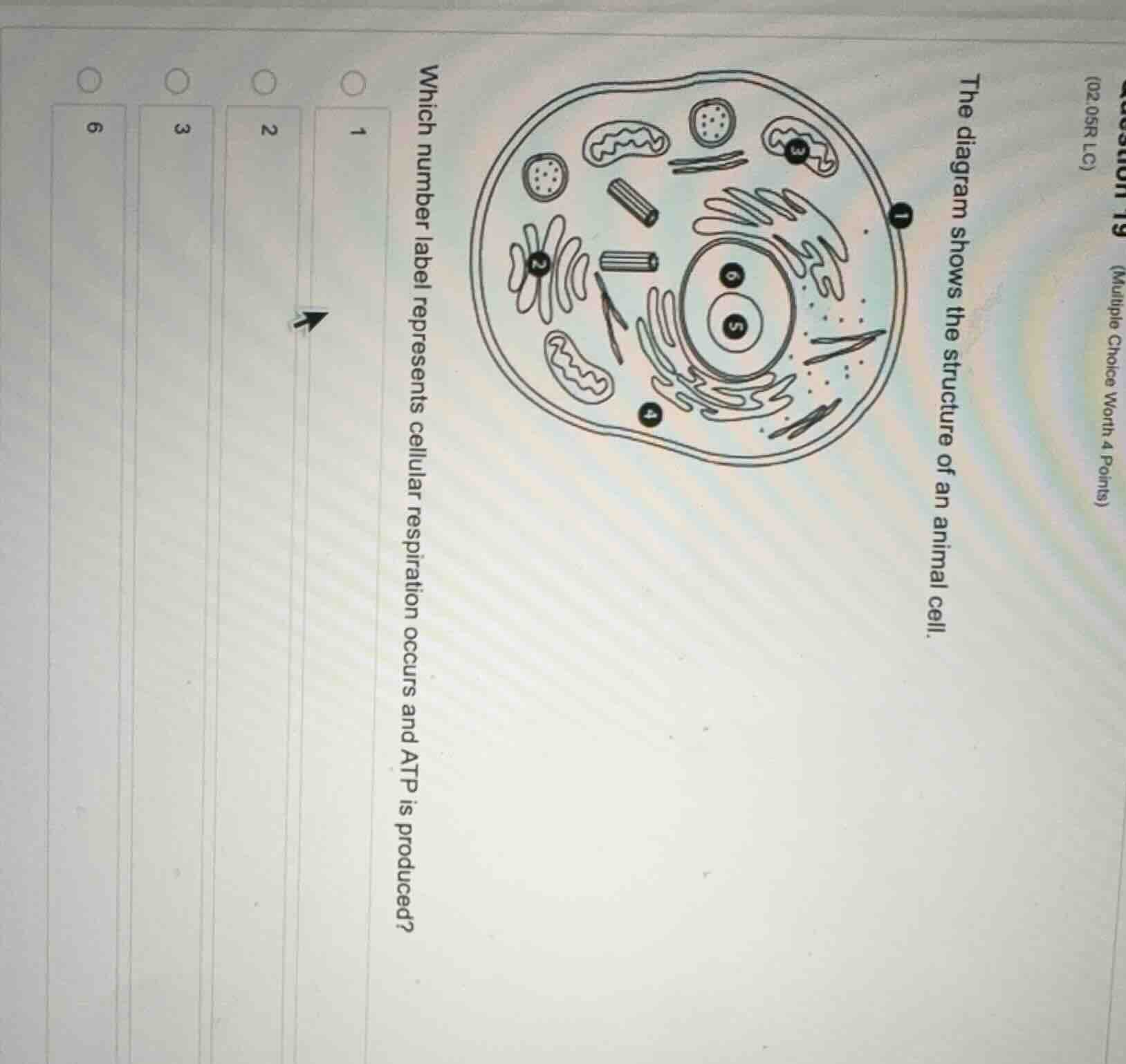 question 19 (multiple choice worth 4 points) (02.05r lc) the diagram sh…