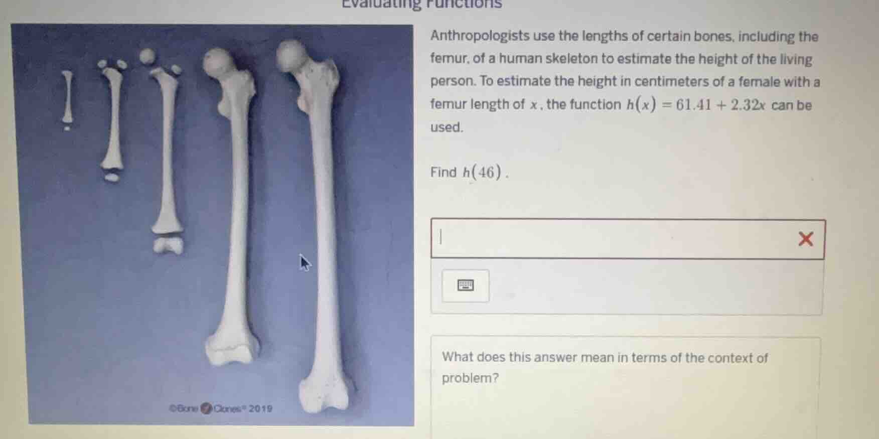evaluating functions anthropologists use the lengths of certain bones, …
