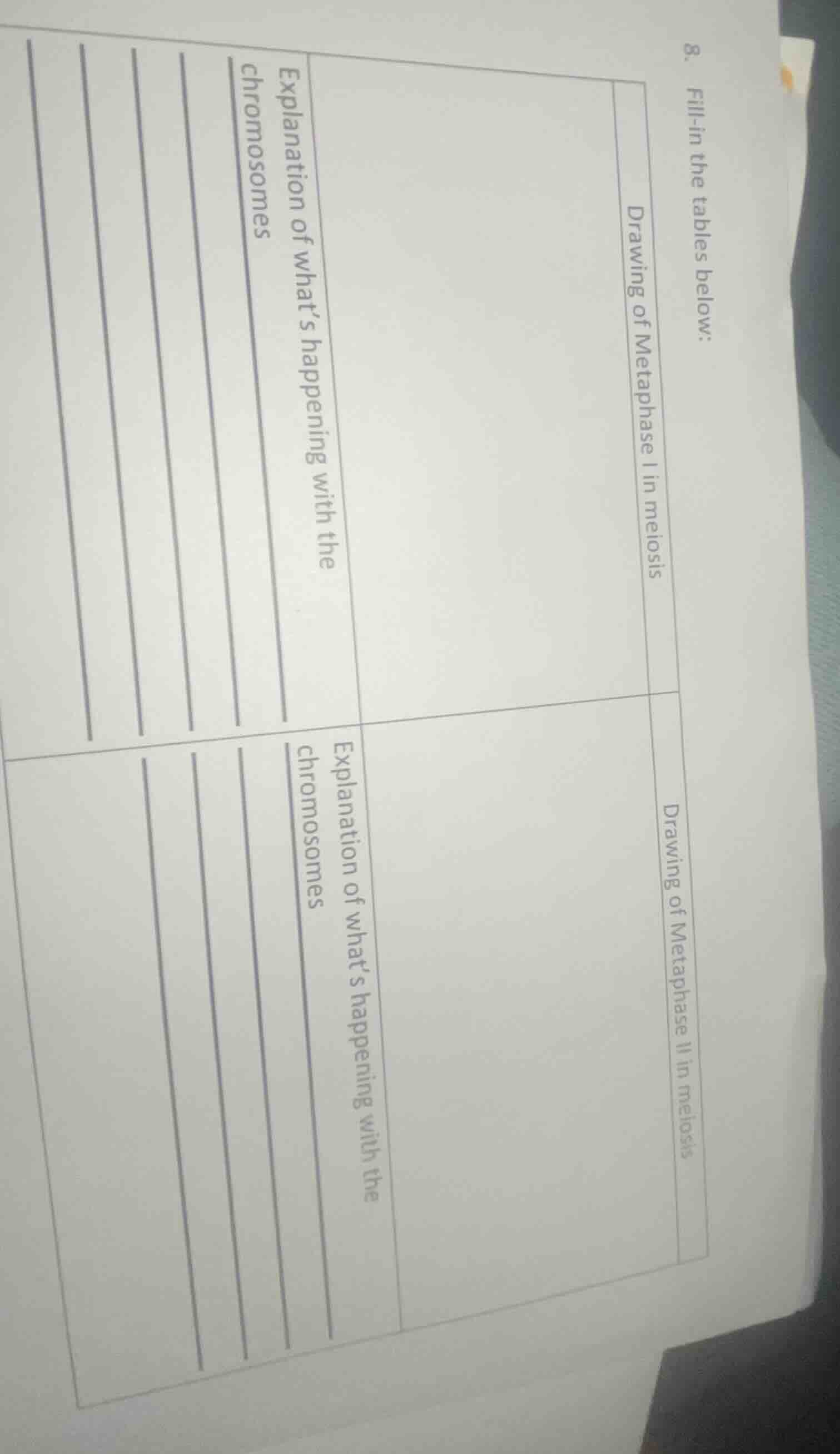 8. fill - in the tables below: |drawing of metaphase i in meiosis|expla…