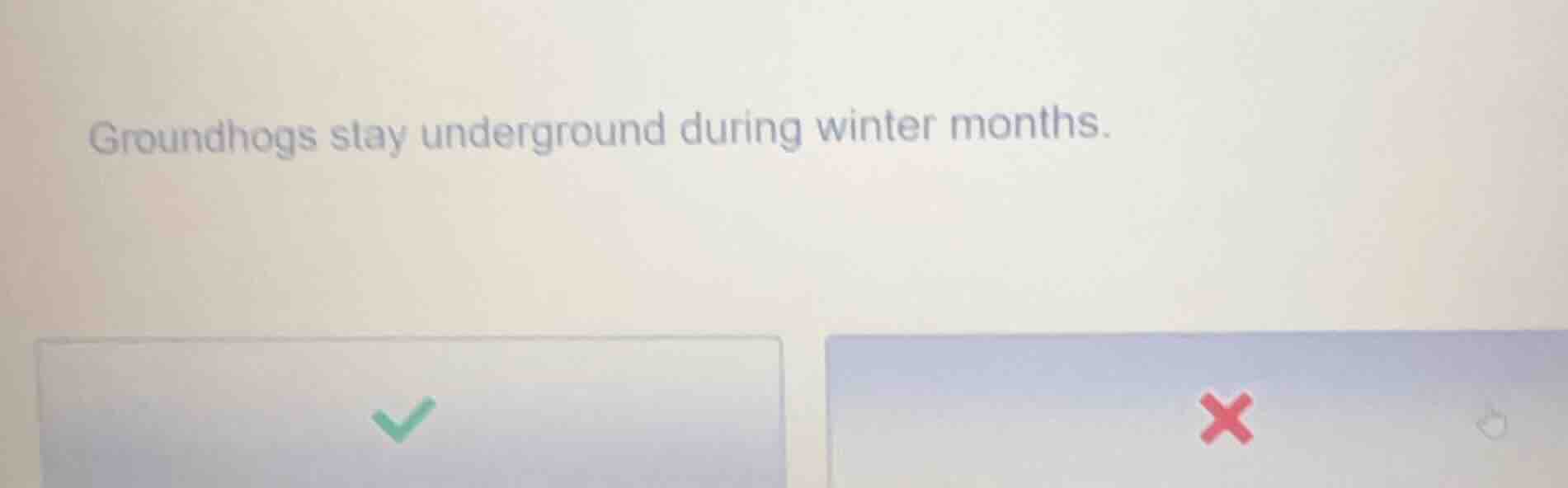 groundhogs stay underground during winter months.