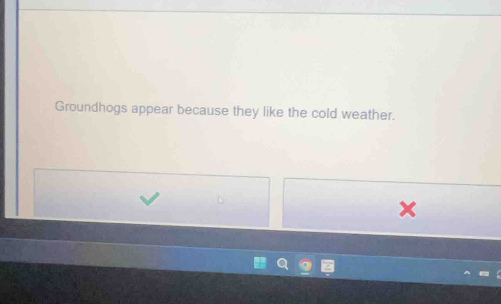 groundhogs appear because they like the cold weather.