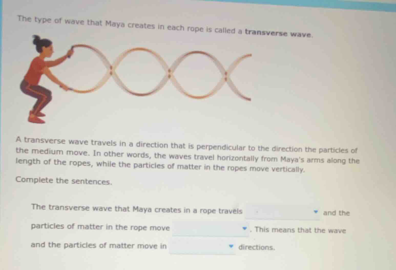the type of wave that maya creates in each rope is called a transverse …